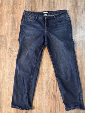 Westport 1962 Dark Wash Signature Fit Ankle Jeans Women's Size 12 Stretch